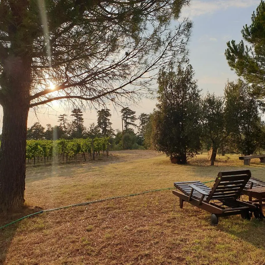 Villa Chiccheio Rooms Montepulciano Guest house